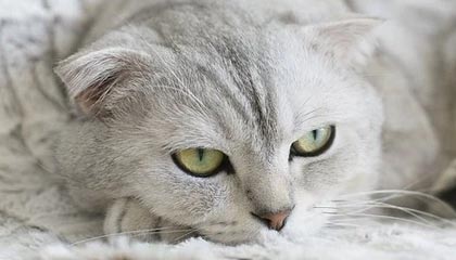 九游体育登录入口-英雄联盟 新版本平衡性调整，英雄联盟平衡机制